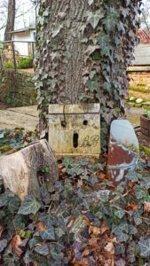 Der Hausbaum