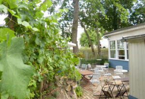 Die Terrasse zu ihrer alleinigen Nutzung